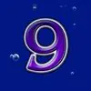 Символ Dolphins Pearl Deluxe - Карткова 9