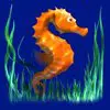 Символ Dolphins Pearl Deluxe - Морський коник