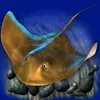 Символ Dolphins Pearl Deluxe - Скат