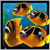 Символ Dolphins Pearl - Косяк риб